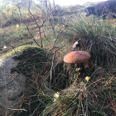 Urlaub Am Plaetlinsee - Haus Odin Hébergement de vacances *