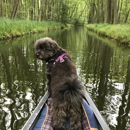 Hébergement de vacances Urlaub Am Plaetlinsee - Haus Odin