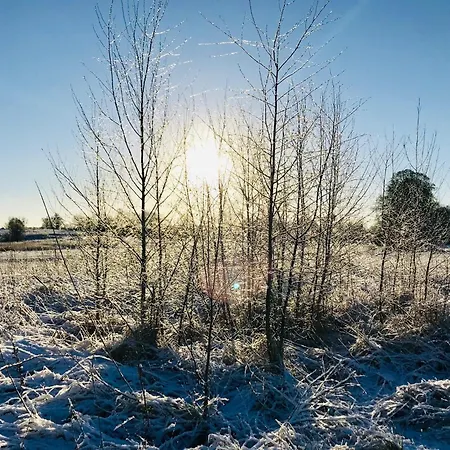 Hébergement de vacances Urlaub Am Plaetlinsee - Haus Odin *