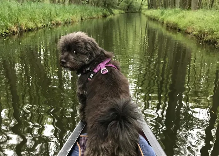 別荘 Urlaub Am Plaetlinsee - Haus Odin