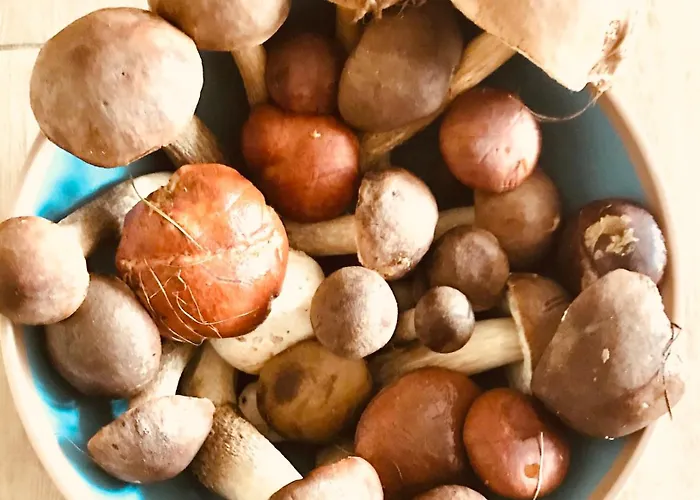 Urlaub Am Plaetlinsee - Haus Odin